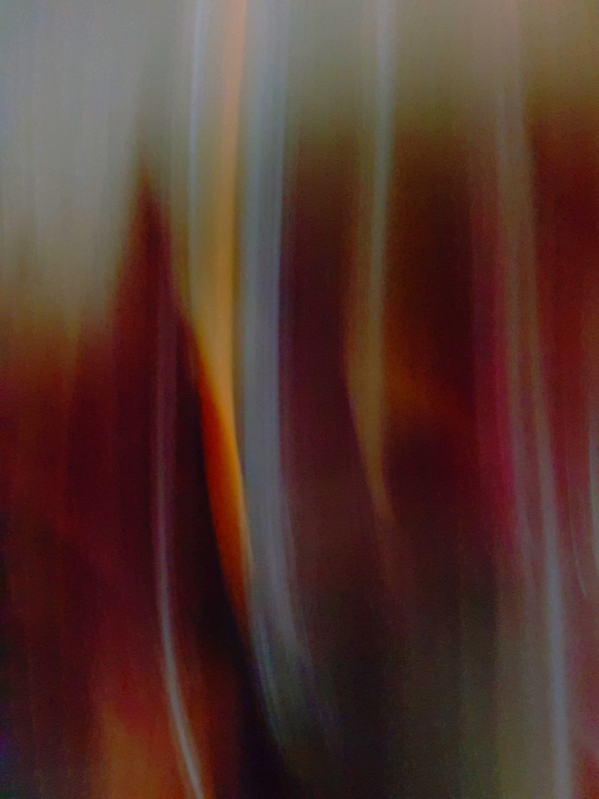 Giclee Rolled Canvas Print