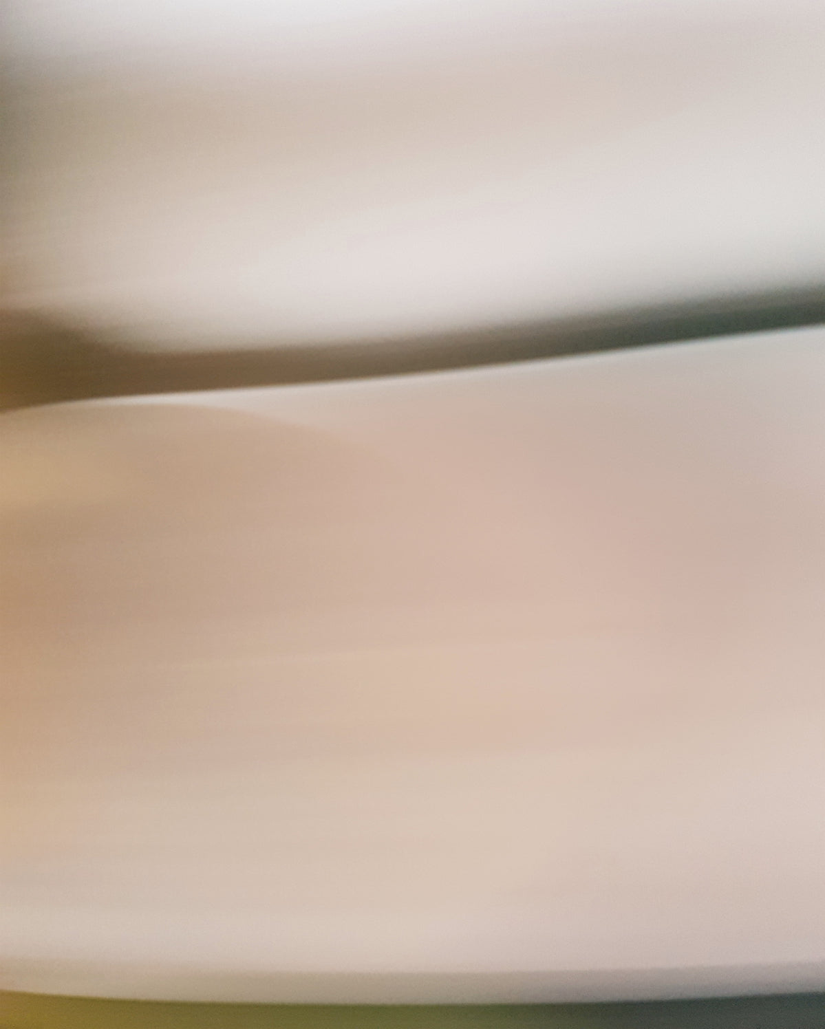 Giclee Rolled Canvas Print